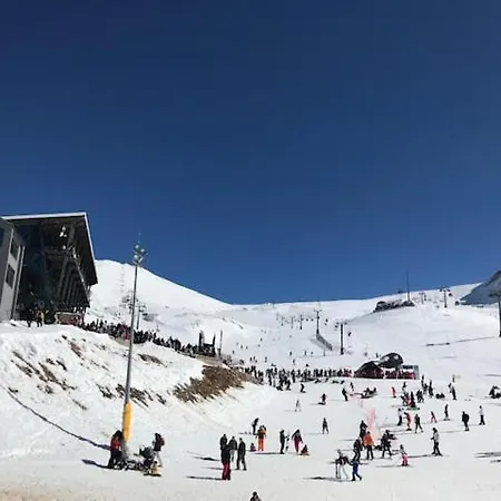 Plaza με Tζάκι 3* Arachova